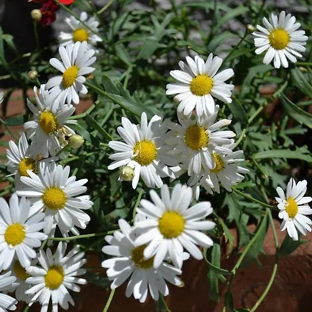 Meuble Valereusa ホテル